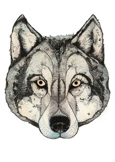 Drawing Wolf Mask 47 Best Wolf Mask Images Drawing Techniques Drawing Tutorials