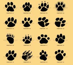 Drawing Wolf Paw Prints Cat Paw Print Vs Dog Paw Print Google Search Miscellaneous Cat