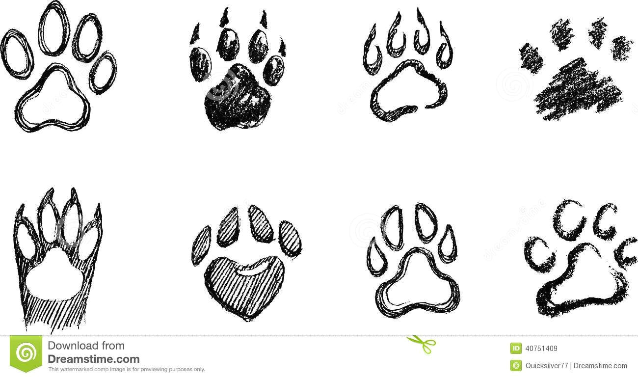 Drawing Wolf Paw Prints Draw A Dog Paw Print How to Draw A Paw Drawing Basics In 2019