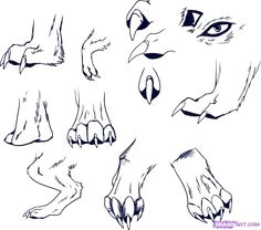 Drawing Wolf Paws 11 Best How to Draw Paws Images Drawings Animal Drawings