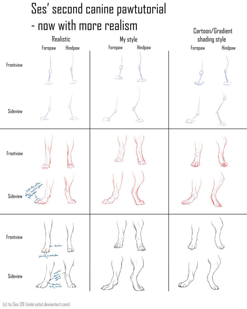 Drawing Wolf Paws Wolf Paw Positions by Deadsoulwolf Art Tutorials Animals