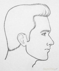 Drawing Wolf Side View How to Draw A Face From 3 4 View Art Drawing Pinterest