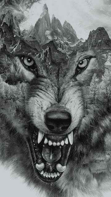 Drawing Wolf Studio Erstaunlich Wolf Tattoo Vorlagen Kostenlos Beste Modetrends