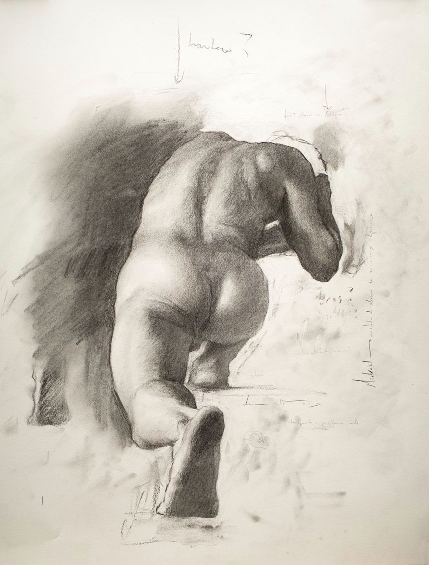 Drawing Wolf Studio Shane Wolf 8211 force Studio 8211 Charcoal On Canson