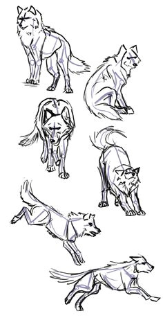 Drawing Wolf Walking Die 2282 Besten Bilder Von Wolfe Phantasie Drawings Wolf