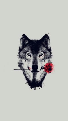 Drawing Wolf Wallpaper 242 Best Wolf Wallpaper Images In 2019 Wolf Wallpaper Wolves