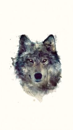 Drawing Wolf Wallpaper 242 Best Wolf Wallpaper Images In 2019 Wolf Wallpaper Wolves