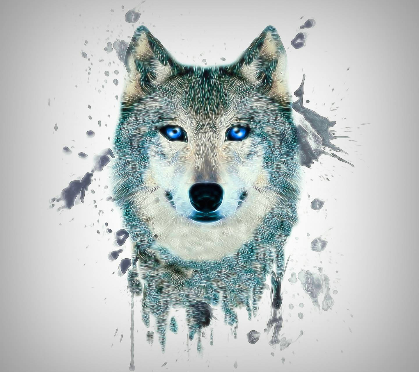 Drawing Wolf Wallpaper Fractal Wolf Wallpaper by S 0d Free On Zedgea