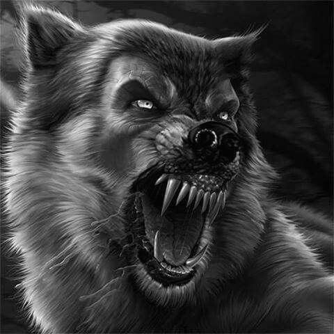 Drawing Wolf with Moon Pin by A Ck506 norb On Wolves Pinterest Werewolves Wolf and Tattoo