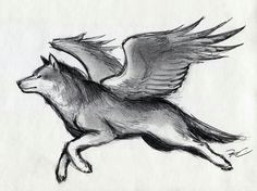 Drawing Wolf with Wings 88 Best Wolf with Wings Images Wolves Fantasy Art Fantasy Artwork