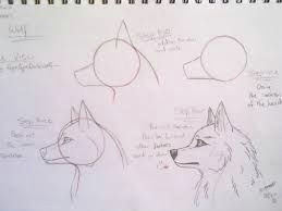 Drawing Wolves Eyes Image Result for Drawing Of Wolf Eyes Drawing Ideas Drawings