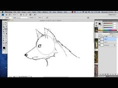 Drawing Wolves Youtube 216 Best How to Draw Images Alcohol Markers Coloring Books