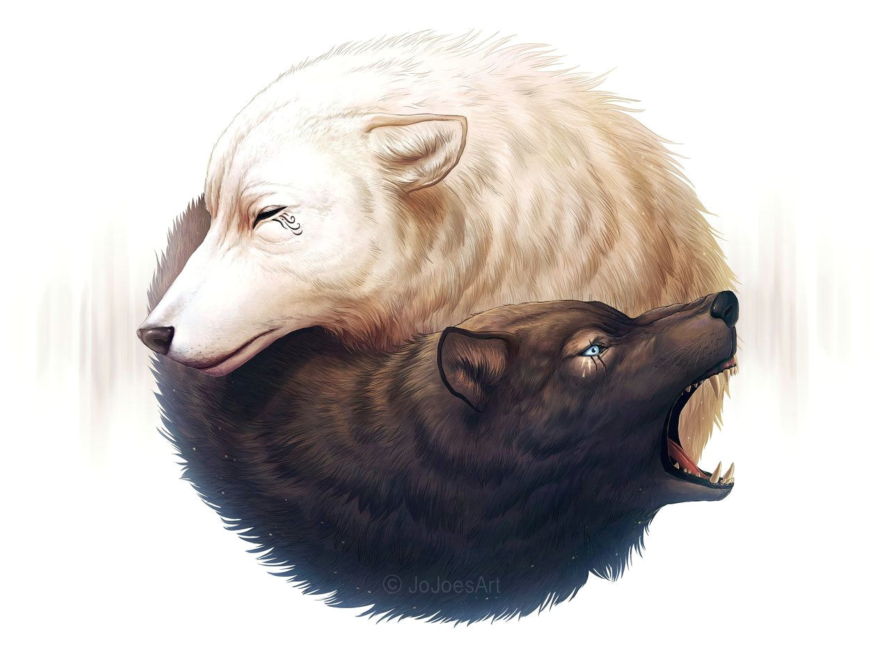 Drawing Wolves Youtube Yin and Yang Youtube Process Video by Jojoesart Deviantart Com