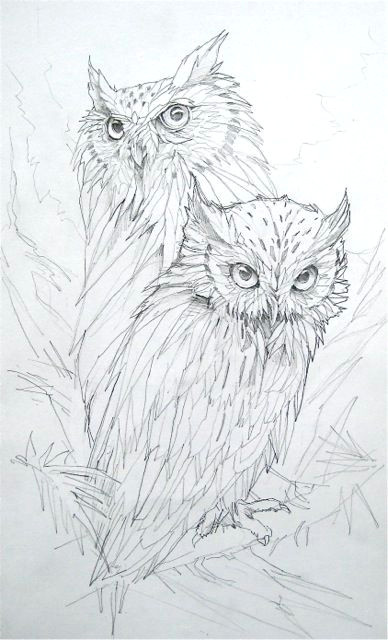 Drawing Wooden Things A Drawling Of Two Owls Things to Draw Pinterest Owl