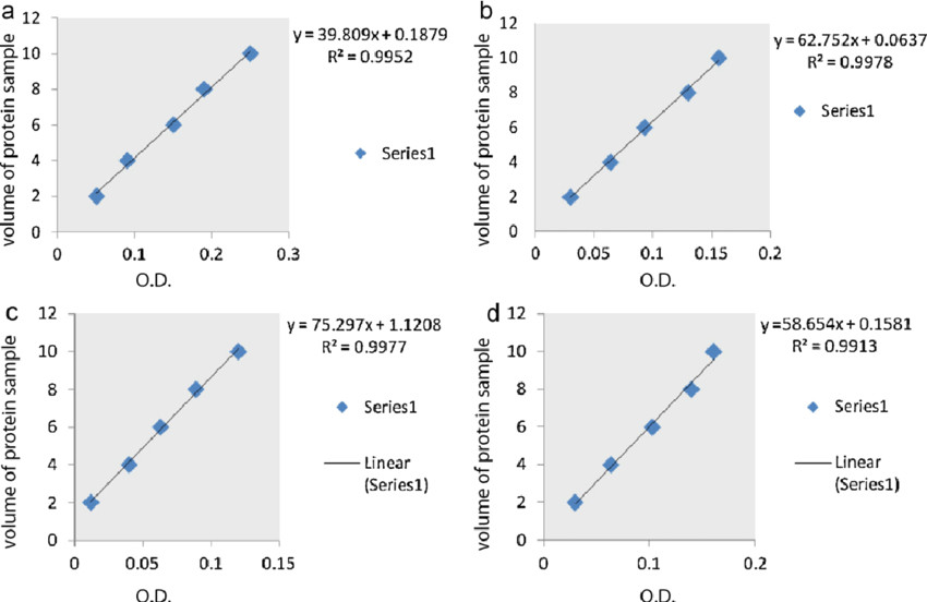 Drawing X and Y Axis In Excel the Standard Curve Of Concentration Of Protein Samples A the