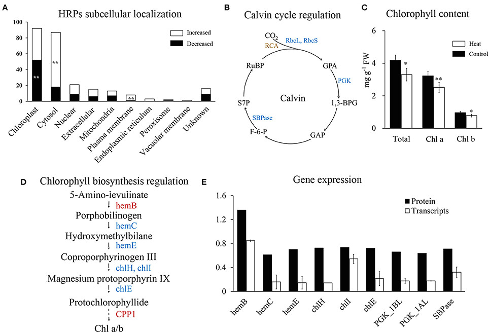 Drawing X^4 Graphs Frontiers Comparative Proteomic Analysis Of Flag Leaves Reveals