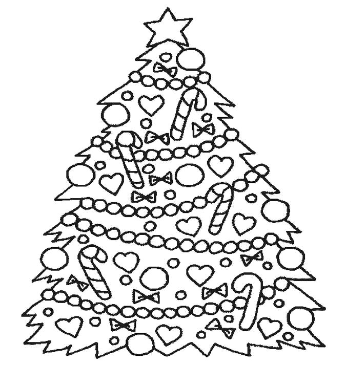 Drawing Xmas Tree Christmas Trees Coloring Page Unique White Pine Tree Coloring Page