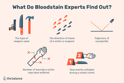 Drawing Your Own Blood Criminology Jobs Working as A Bloodstain Pattern Analyst