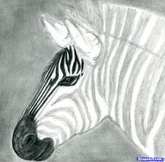 Drawing Zebra Step by Step 65 Best Drawing Fun Images Step by Step Drawing Easy Drawings