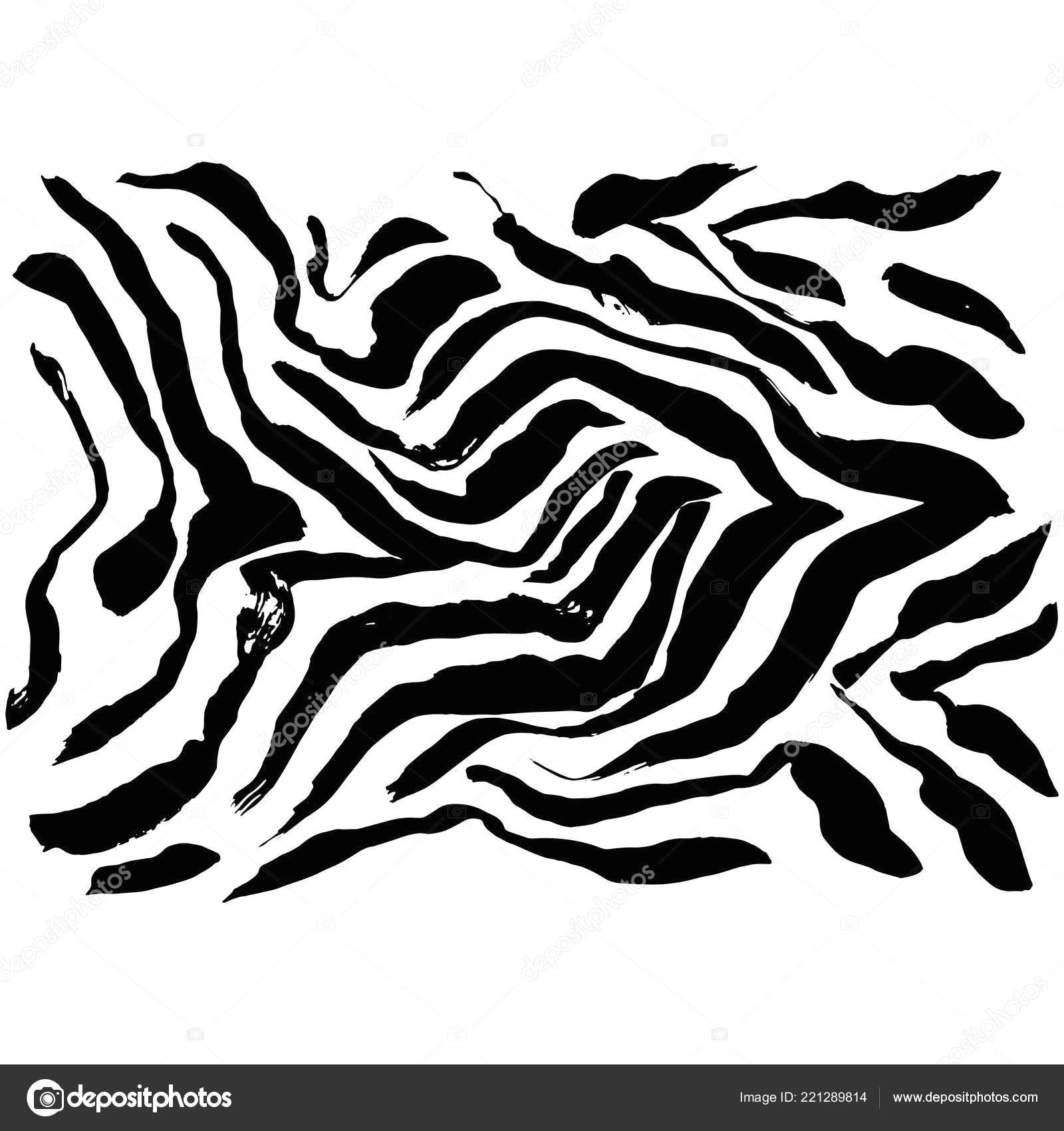 Drawing Zebra Stripes Brush Painted Zebra Pattern Black and White Stripes Grunge