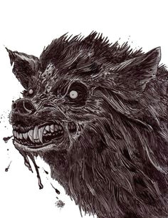 Drawing Zombie Wolf 75 Best Werefoot Images Wolves Wolf Bones