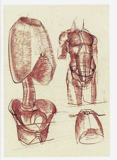 Drawing Zones 335 Best Construction Zone Images Anatomy Reference Drawings