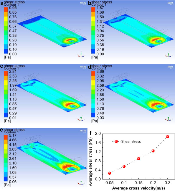 Drawingmesh.m the Relationship Between Size Segregated Particles Migration