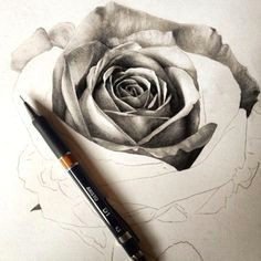 Drawings 3d Roses 25 Beautiful Rose Drawings and Paintings for Your Inspiration