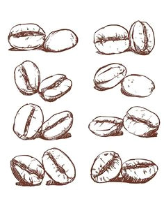 Drawings Easy Coffee Painted Coffee Beans Coffee Beans Coffee Sketch Of Coffee Beans