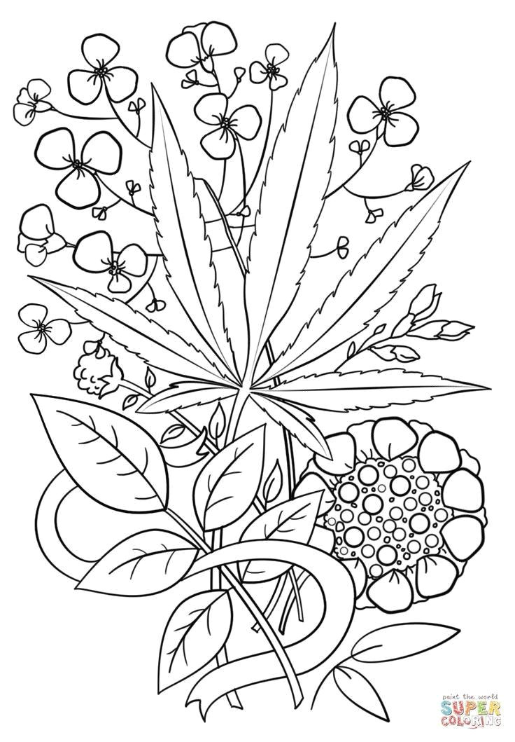 Drawings Easy Weed Marijuana Coloring Pages Unique Kids Coloring Page Simple Color Page