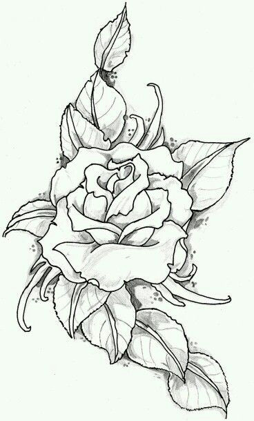 Drawings for Roses Rose with Banner New Drawings Roses S S Media Cache Ak0 Pinimg