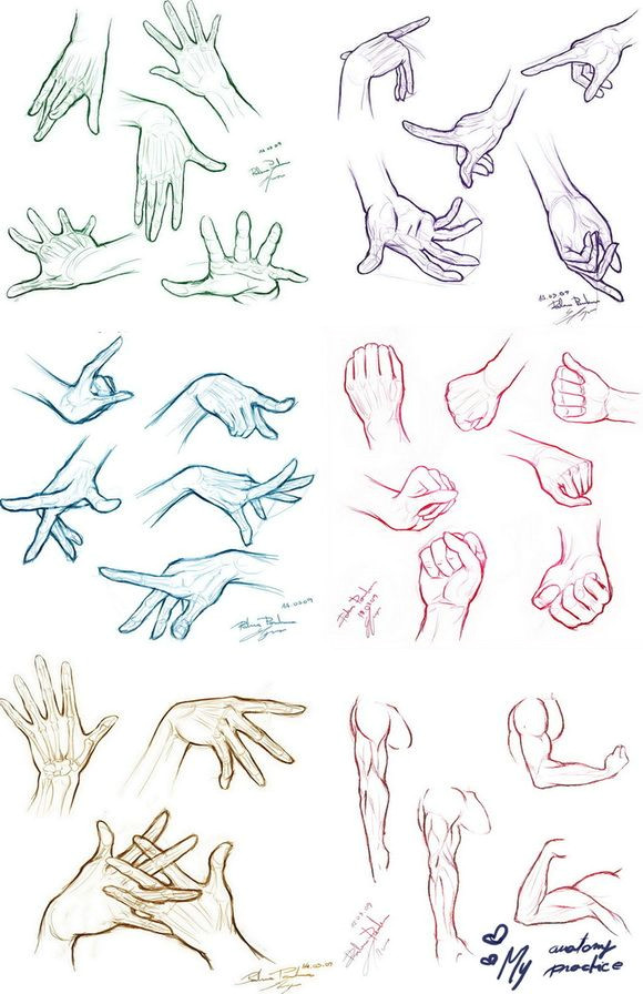 Drawings Hands Reference My Anatomy Practice by Roxaralu On Deviantart Children S Book In