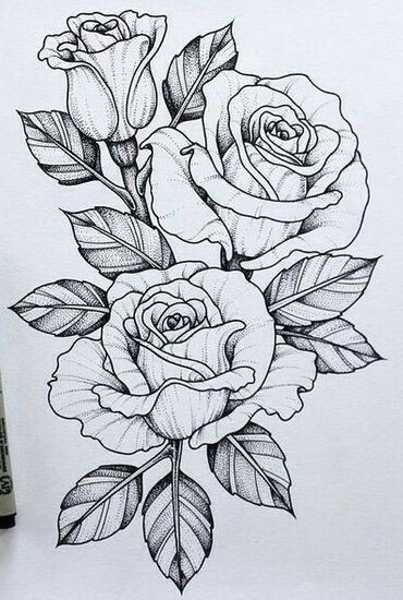 Drawings Of 3 Roses Roses Woodburning Tatuajes Arte Del Tatuaje Dibujos