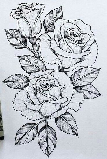 Drawings Of 3 Roses Roses Woodburning Tatuajes Arte Del Tatuaje Dibujos