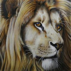 Drawings Of A Big Cat 233 Best Big Cats Images In 2019 Animal Pictures Beautiful Cats