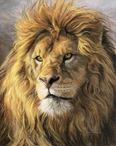 Drawings Of A Big Cat 3483 Best Lovely Animai Art Images Big Cats Cutest Animals Tigers