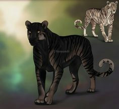 Drawings Of A Big Cat 357 Best Drawing Big Cats Images In 2019 Animal Drawings Sketches