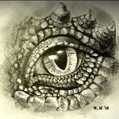 Drawings Of A Dragons Eye 102 Best Dragon Eye Value Drawing Images In 2019 Dragon Eye