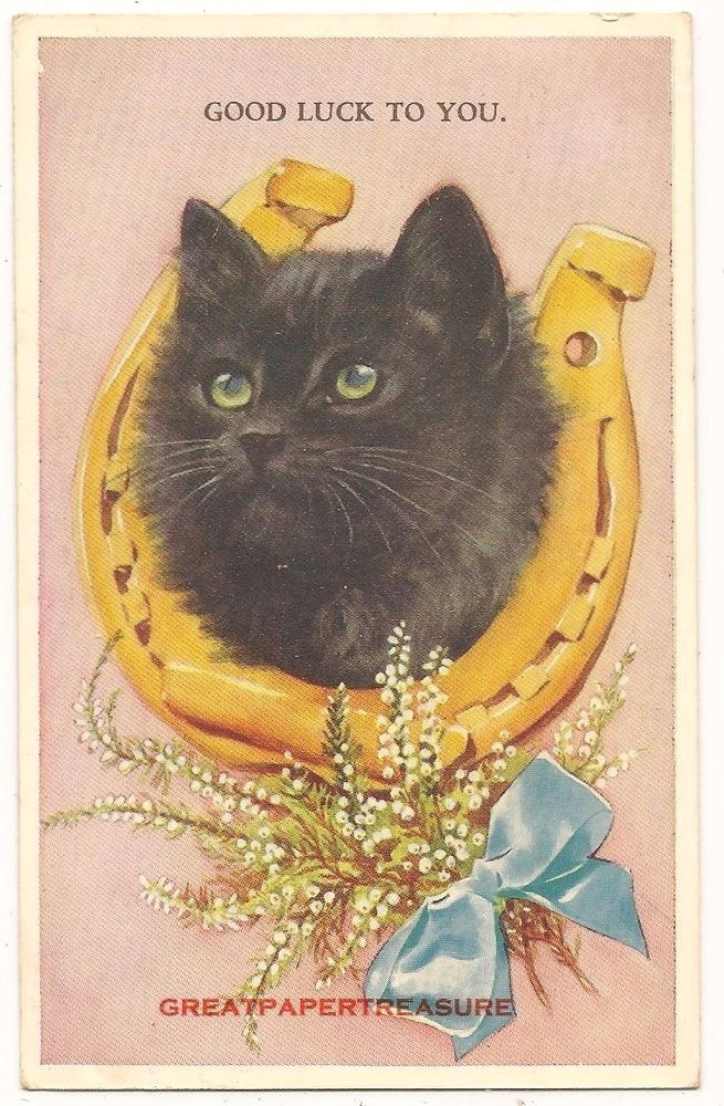 Drawings Of A Evil Cat Lucky Black Cat Postcard No 5249 by Valentine Horseshoe White