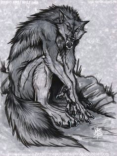 Drawings Of A Were Wolf 1002 Best Werewolf Wolf Images Werewolf Drawings Wolves