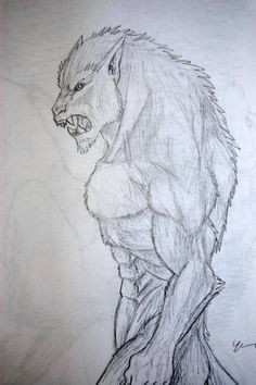 Drawings Of A Were Wolf 53 Best Werewolf Drawings Images Werewolf Werewolves Fantasy Art