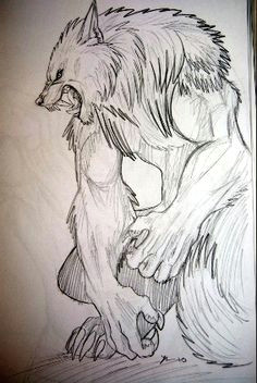 Drawings Of A Were Wolf 53 Best Werewolf Drawings Images Werewolf Werewolves Fantasy Art
