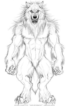 Drawings Of A Were Wolf 53 Best Werewolf Drawings Images Werewolf Werewolves Fantasy Art