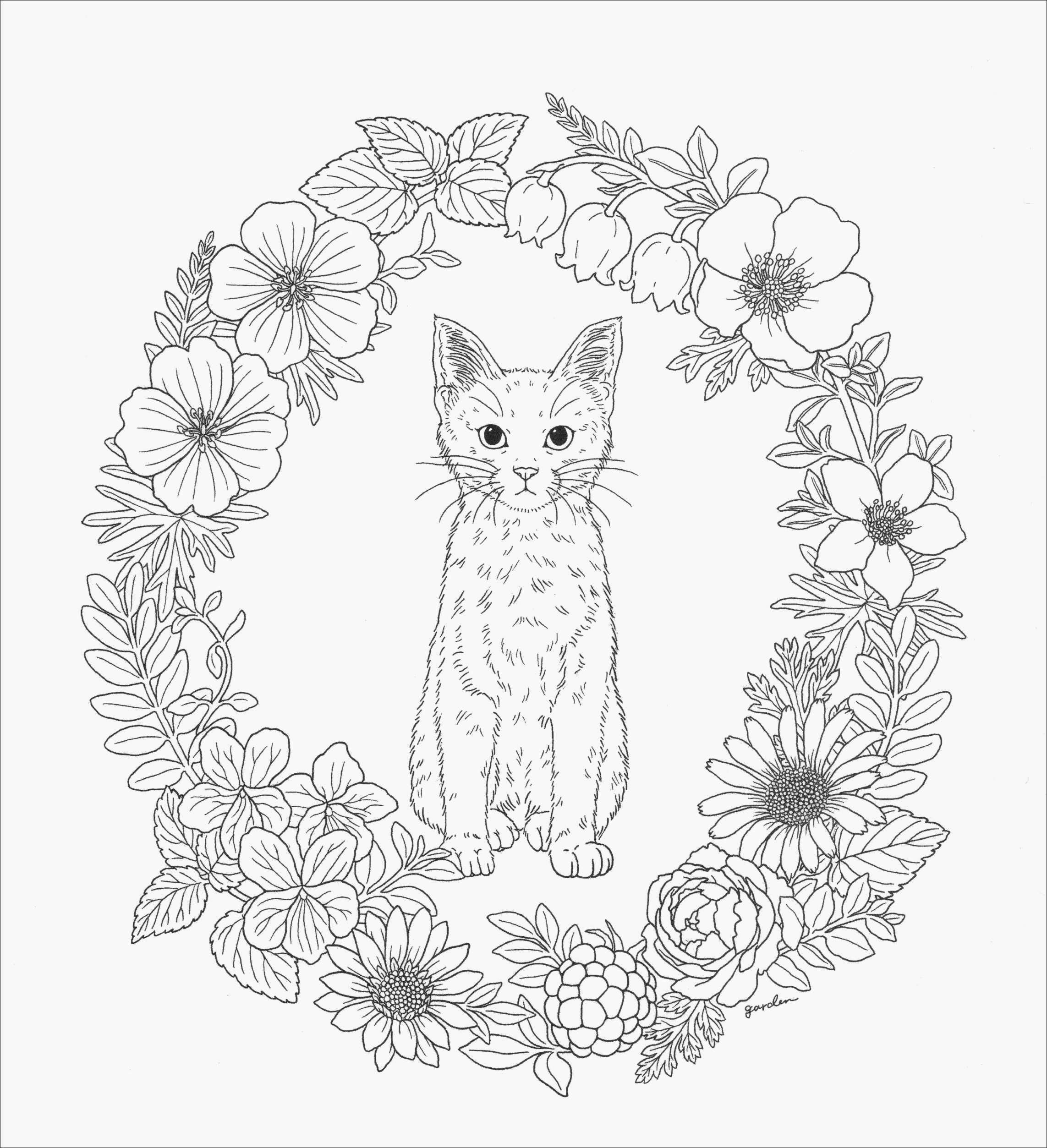 Drawings Of A White Cat Minnie Mouse Baby Malvorlagen Bildnis Minnie Mouse Coloring Pages