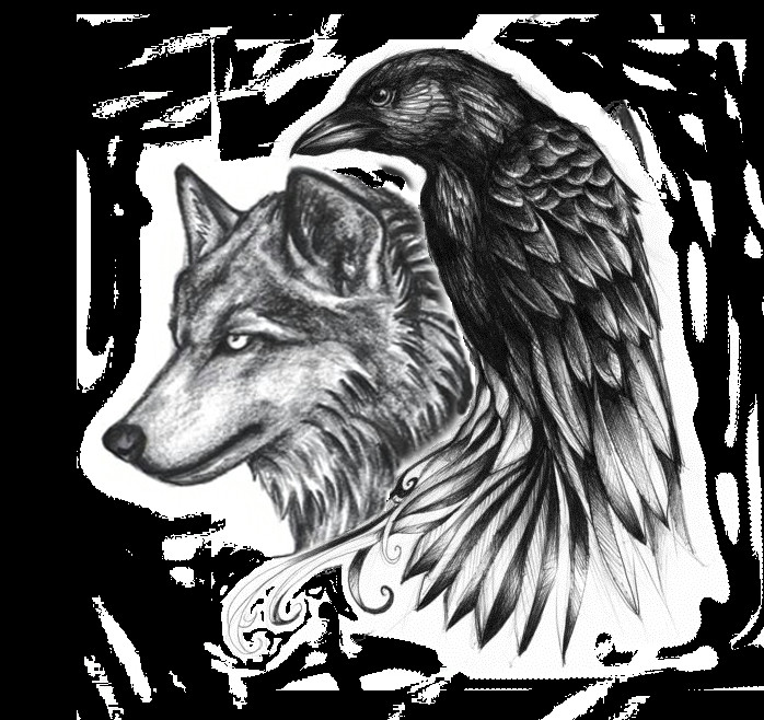 Drawings Of A Wolf Tattoo Ravenwolf Google Search Adelle Leclair Tattoos Raven Tattoo