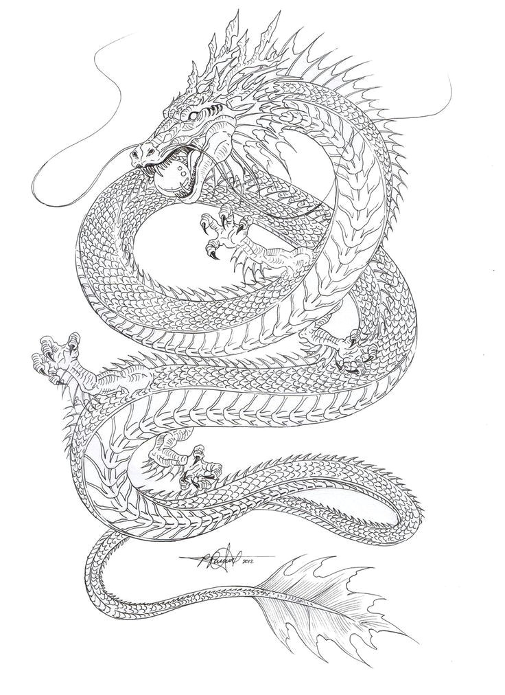 Drawings Of asian Dragons Pin Od Oliwia Sielska Na Tattoo Pinterest Tattoos Chinese