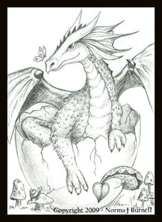 Drawings Of Baby Dragons Hatching 108 Best Coloring Pages Dragons Images Coloring Pages Coloring