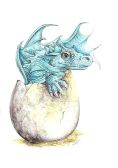 Drawings Of Baby Dragons Hatching 80 Best Baby Dragon Images Mythological Creatures Fantasy Art