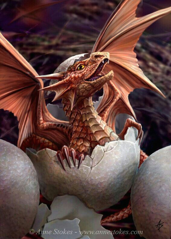 Drawings Of Baby Dragons Hatching Baby Dragon Hatching Dragons Pinterest Dragon Dragon Art and