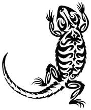 Drawings Of Bearded Dragons Tattoos Of Bearded Dragon Bearded Dragon Tattoo for Jonpaul